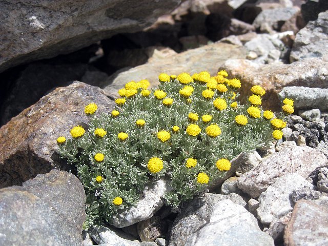 img00001.jpg