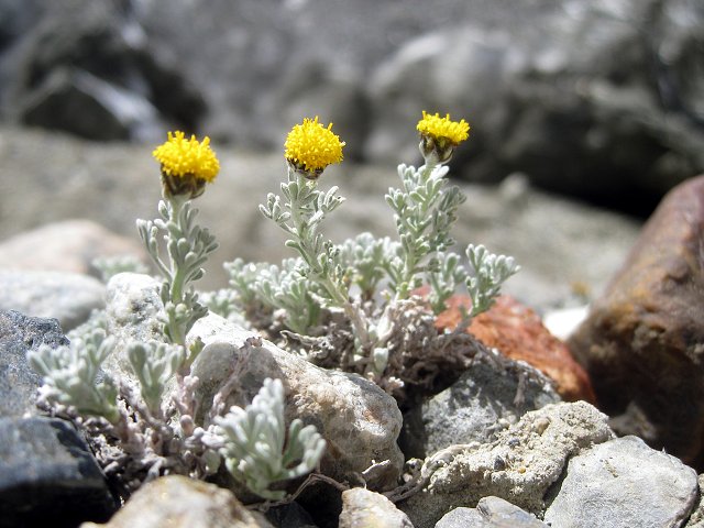 img00002.jpg