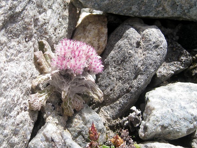 img00010.jpg