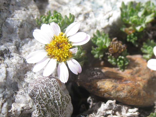 img00012.jpg