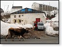 17.4.2009 15:48<br> Penzin Rezo ©OU 