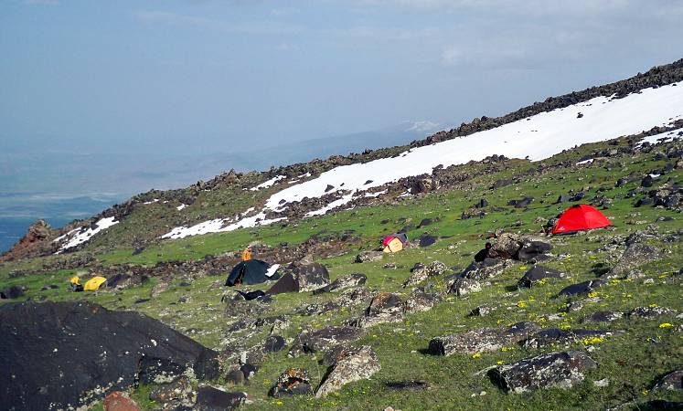 Yeşil kemp 3200 m.  © Martin  